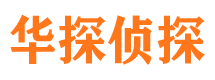 元阳市调查公司